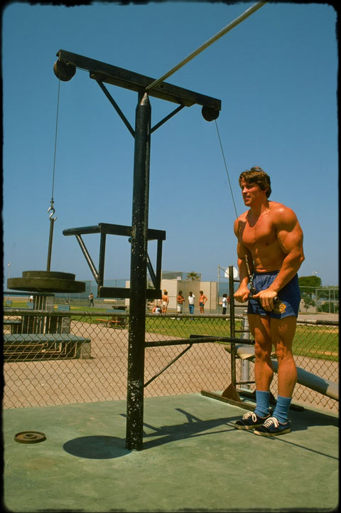 Want to build muscle? Go Austrian!