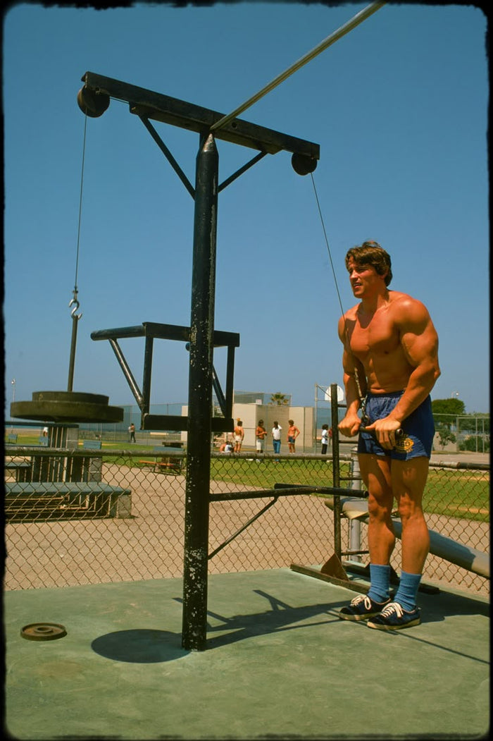 Want to build muscle? Go Austrian!