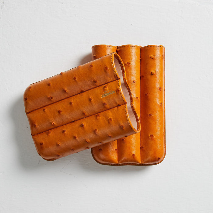 Ostrich Leather Case for 3 - Orange