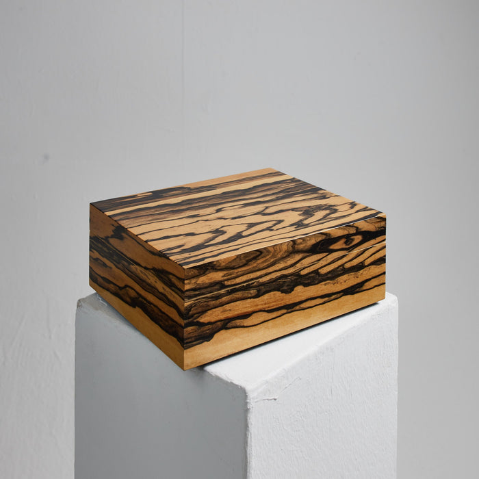 White Ebony wood Humidor