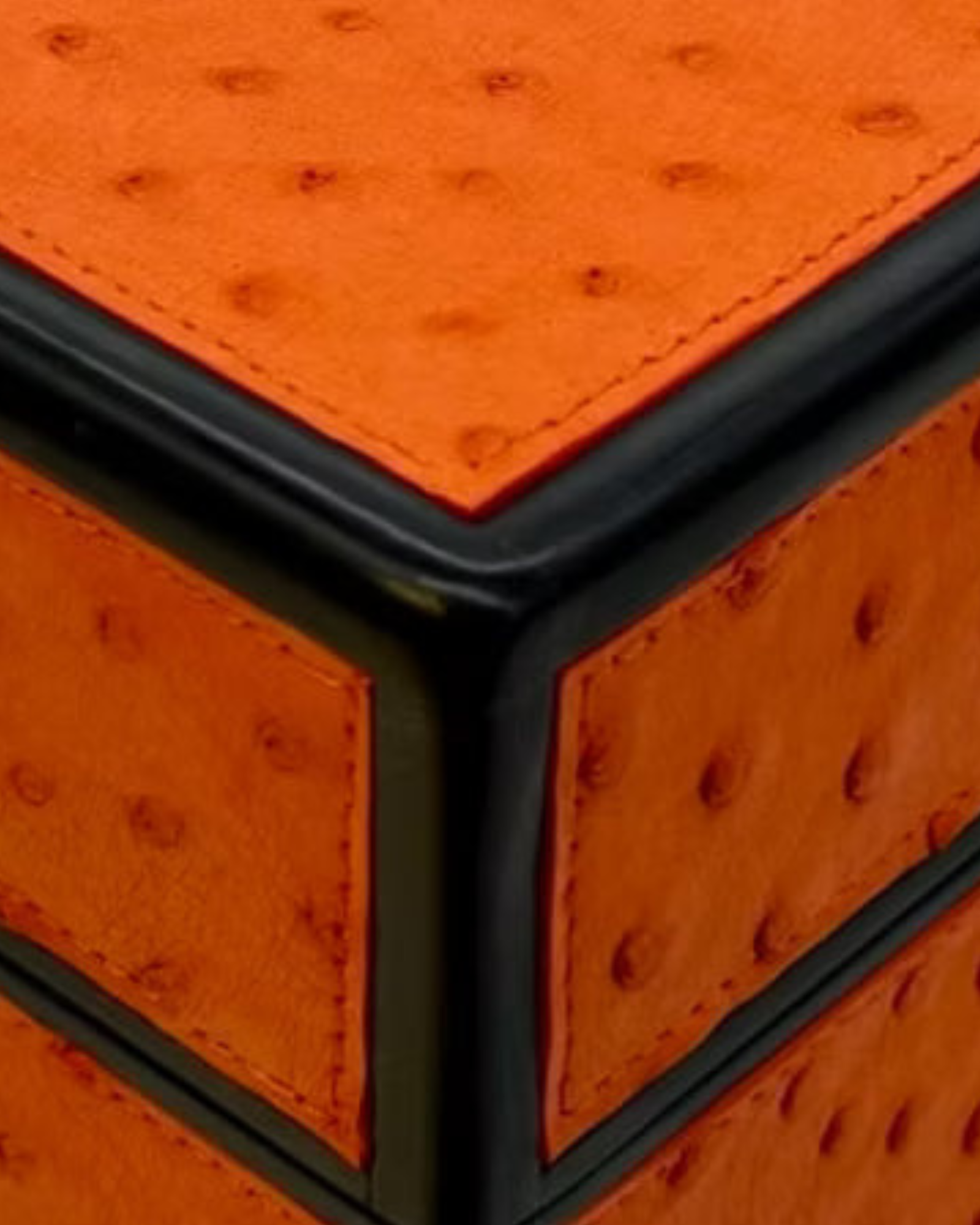 Desktop Humidor 75 cigars wood and Ostrich - STRUTHIO Collection