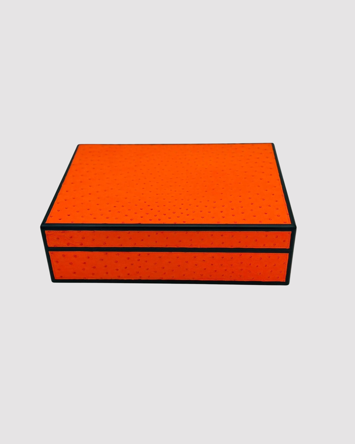 Desktop Humidor 75 cigars wood and Ostrich - STRUTHIO Collection