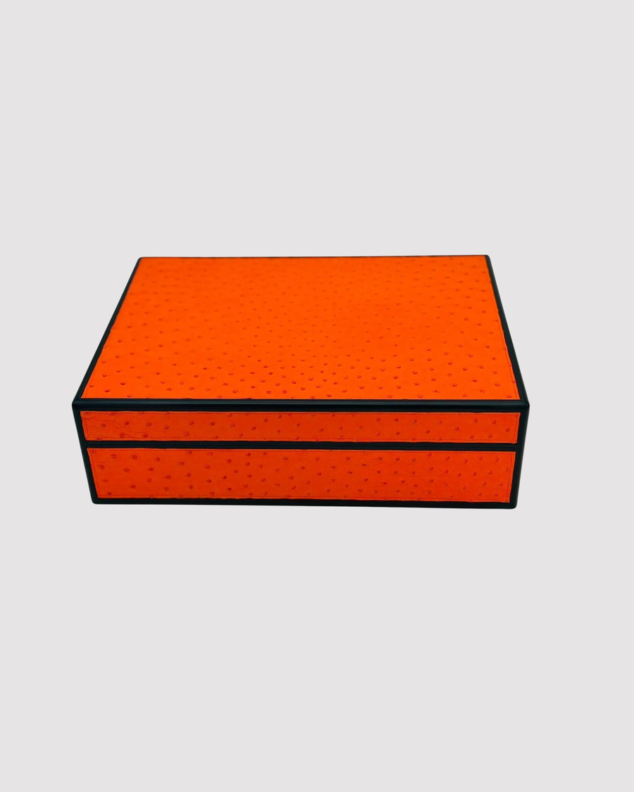 Desktop Humidor 75 cigars wood and Ostrich - STRUTHIO Collection