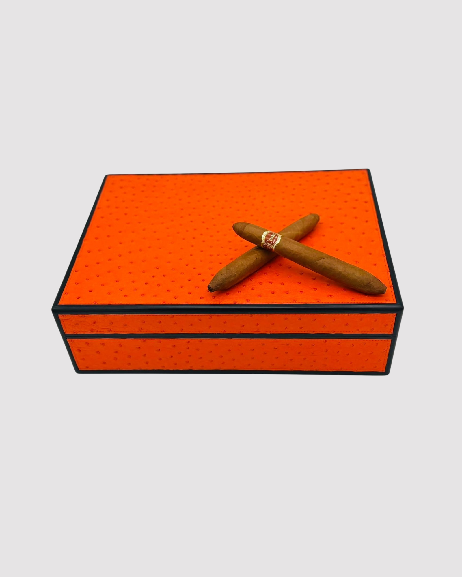 Desktop Humidor 75 cigars wood and Ostrich - STRUTHIO Collection