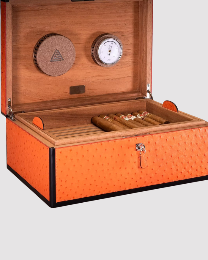 Desktop Humidor 75 cigars wood and Ostrich - STRUTHIO Collection